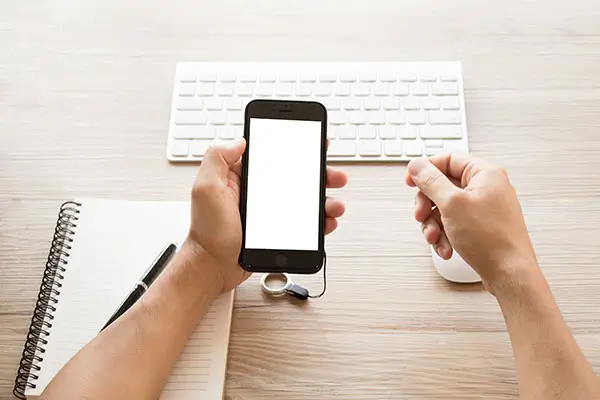 法律保留指什么